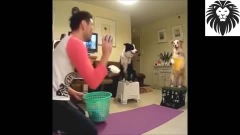 Smart dog playing games with owner