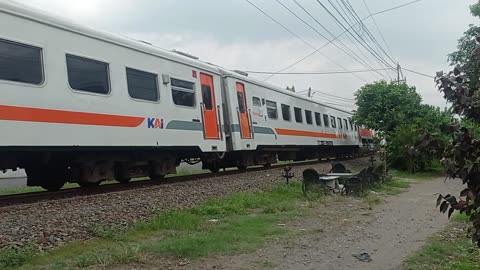 the train with the longest carriages