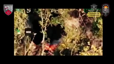 🐉🔥 Ukrainian SOF is burning Russian positions with dragon-drone!