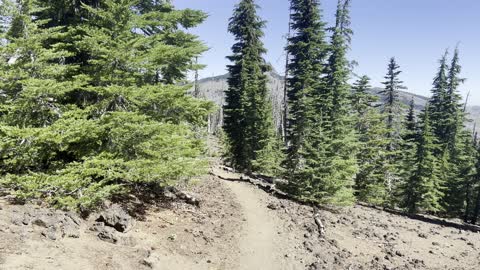 Hiking to the Edge of the Mount Washington Wilderness Burnout Zone – Pacific Crest Trail – 4K