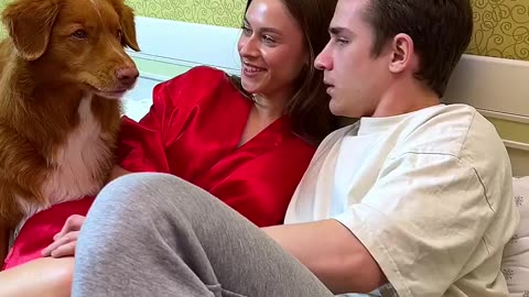 Puppy ruins romantic time ❤️