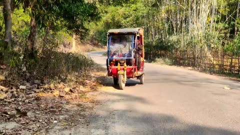 Shocking elephant attack on man in the road | Elephant encounter movie by Wild Hunter