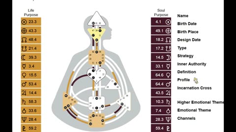 Human Design The Basics