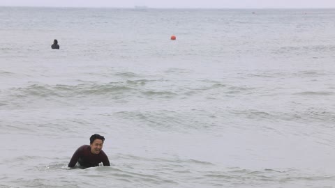 Sea and surfers