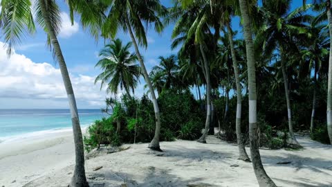 White sand beach