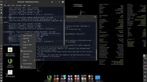 How to get acces of linux terminal using vilian