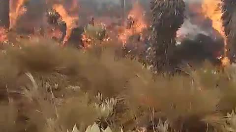 Incendio en páramo de Boyacá