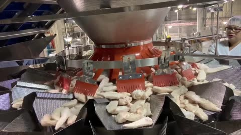 (Frozen Chicken 6LBS) High Tek USA 14 Head 7.5L Standard Weigher