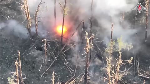 Paratroopers successfully hit an AFU fortified position in a wooded area