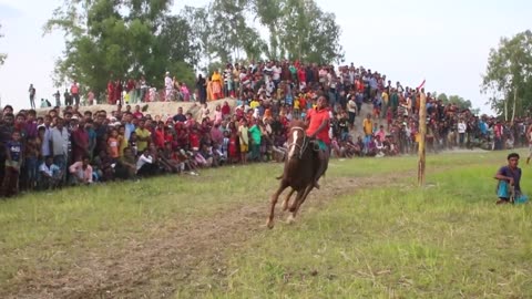 Horse Race ঘোড়ার দৌড় খেলা খুবই দ্রুত শিয়ালদৌড় _