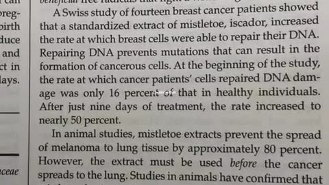 Did you know the lectins in mistletoe is used for a CANCER treatment?
