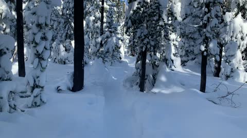 Snow Globe-esque – Central Oregon – Swampy Lakes Sno-Park – 4K