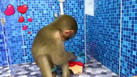 Monkey baby bath