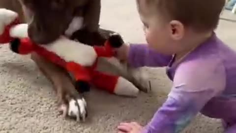 Baby and dog Playing first time, so sunny reaction of baby