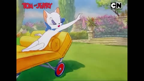 Tom & Jerry 😺🐭 _ An Ode to Chaos! _ Non-stop Masti 🤩_ Funny Chases 😆_ Only on Cartoon Network