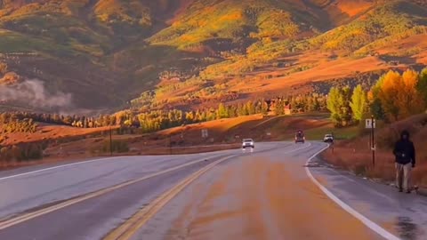 driving into a sea of ​​gold in Colorado 🍂