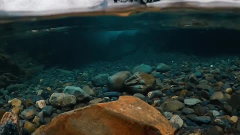 So this is a pretty rock💙 . I love it when a good looking rock shows up underwater 🌊🌊 .