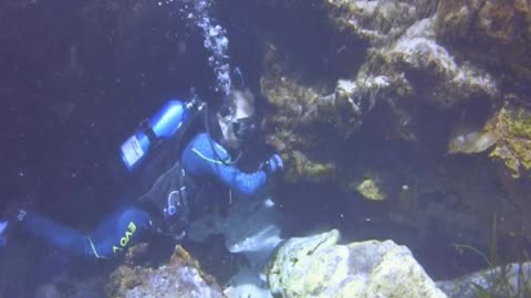 RELAXING SCUBA DIVING