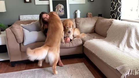 Hugging Another Dog Too Long _ Jealous Dog Reaction