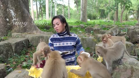 Big party! Kunthea brings big jackfruit and cut it for all the babies, everyone wait anxiously