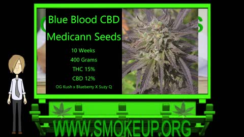 CBD Cannabis Strains - Medical Strain Series - STRAIN TV (2022)