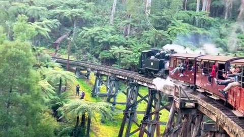 Melbourne steam railway