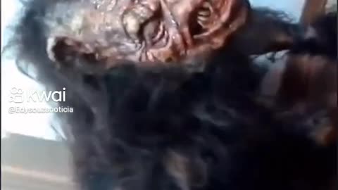 Alleged Werewolf And Captured In Bahia (Brazil)