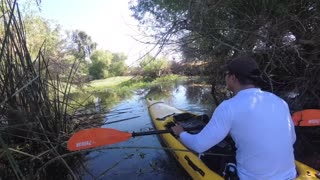 Morning Paddle with my Stealth Fusion 480