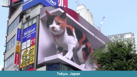 3D digital billboard all over the world