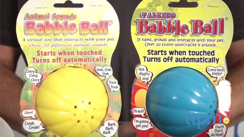 Babble Balls Dog Toys from Pet Qwerks