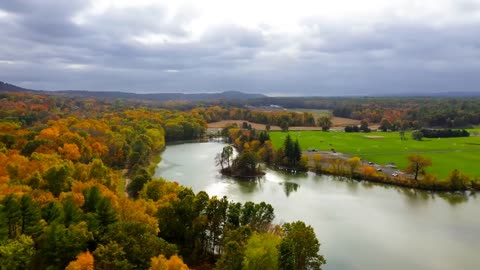 Enchanting Autumn Forests with Beautiful Piano Music