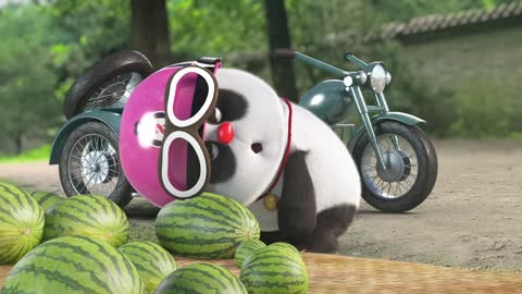 Watermelons are smiles of Summer Bamboo Panda Short Animation #funny #panda