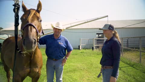 Animal Science (BS), Texas A&M University-Commerce