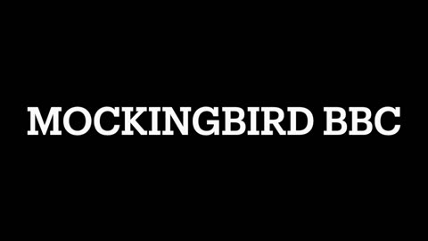 BBC PRESENTER ANNA BREES TALKS ABOUT THE MOCKINGBIRD BBC