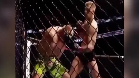 BEST VINES COMPILATION UFC and COMBAT SPORTS