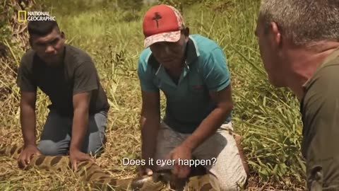 Fishing an Anaconda_ _ Last of the Giants _ National Geographic