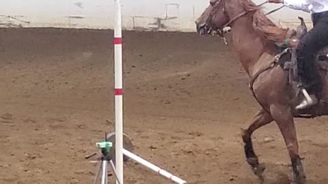 Marion County Fair Girls ride horse