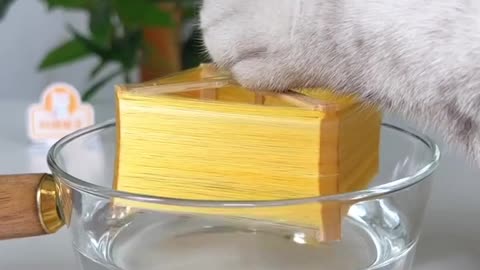 Cat is going to make lipstick kit #Satisfying