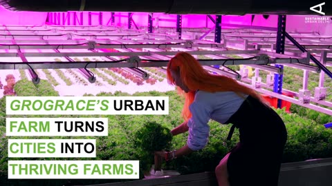 GroGrace urban farm turns cities into thriving farms