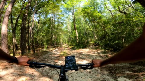 Thick Woods Segments From the 24mi Ride | Mongoose Argus