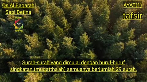 AYAT(1) AL BAQARAH#AlquranTerjemahanDanTafsirnya