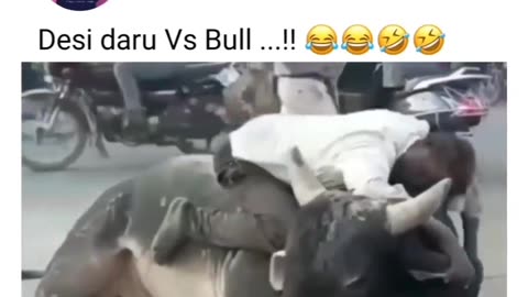 Desi daru Vs Bull ....!!😂😂😂🤣 Funny Video