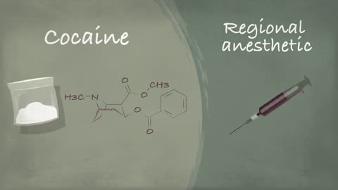 How does Anesthesia Works? | TED Ed World