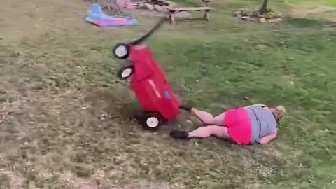 land whale attempts to ride wheelbarrow to water