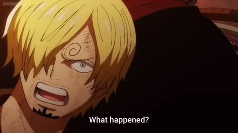 sanji applying bandages to Zoro - onepiece sanji and zoro moments