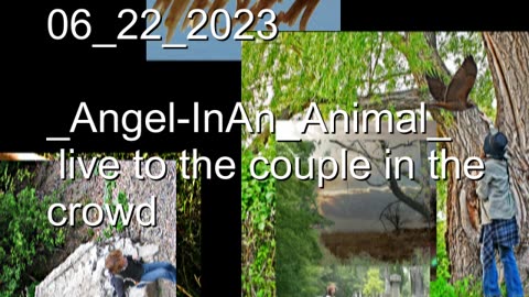 "Angel in an Animal" (AUDIO) - Are You My Bowinkle!? show 06/22/2023 Lome Marsupial