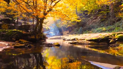 Enchanting Autumn Forests with Beautiful Piano Music