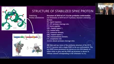 Dr. Robert Malone explains the structural differences between virus and vaccine spike proteins