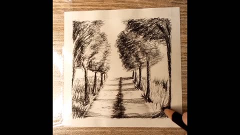 Charcoal Drawing trees at road side #charcoal #arts #drawwithme