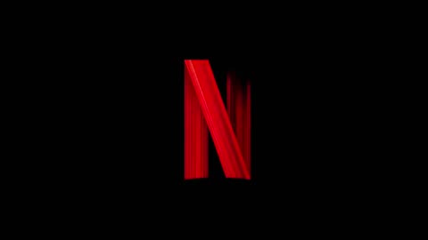 NETFLIX in one second